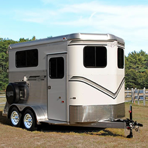 The Warm Blood Classic Elite