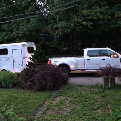 8a6f41ee47787a283c78650aeaac263a