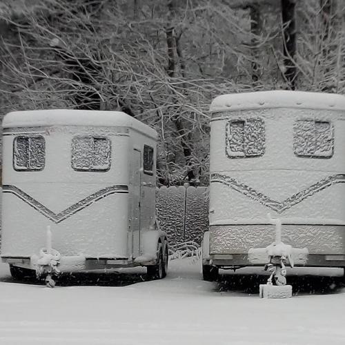 8d890385bb7fc6d138ef09c007cc2e2d