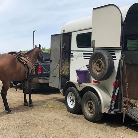 ce1e787c1b184ac29a05ca89fc18f59e